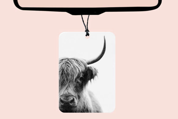 Boho Western Felt Air Fresheners  I