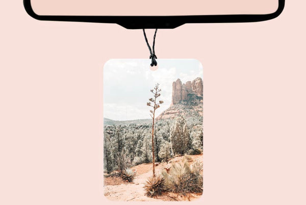 Boho Western Felt Air Fresheners  I